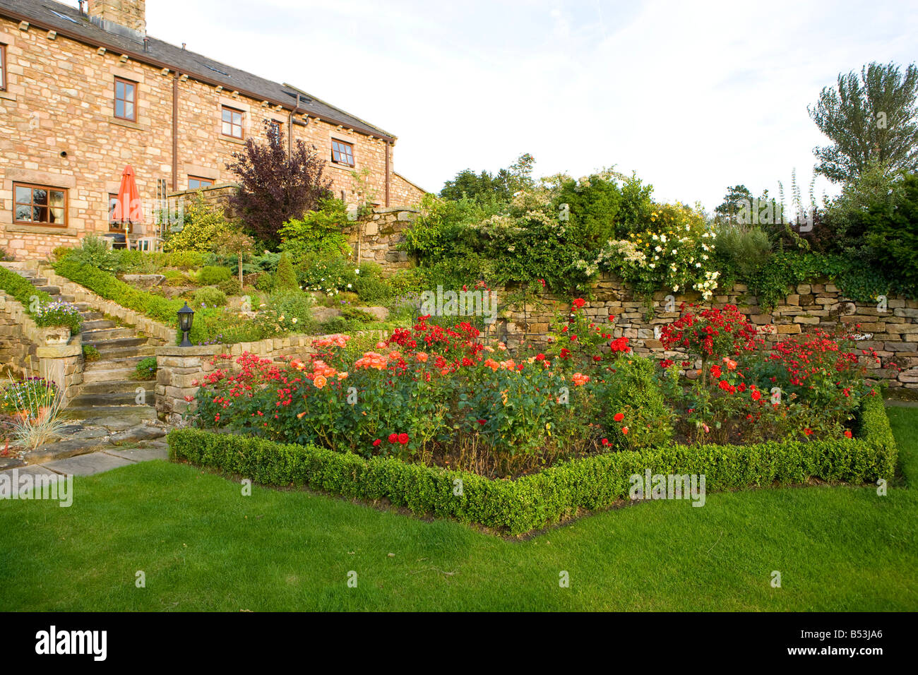 Betten aus roten Rosen in einem formalen Garten design Stockfoto