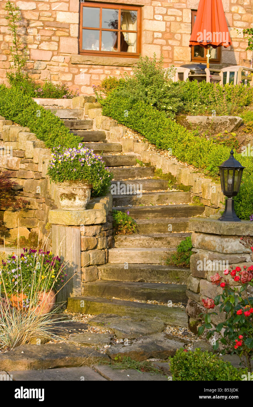 Steinstufen mit Hedge-box Stockfoto