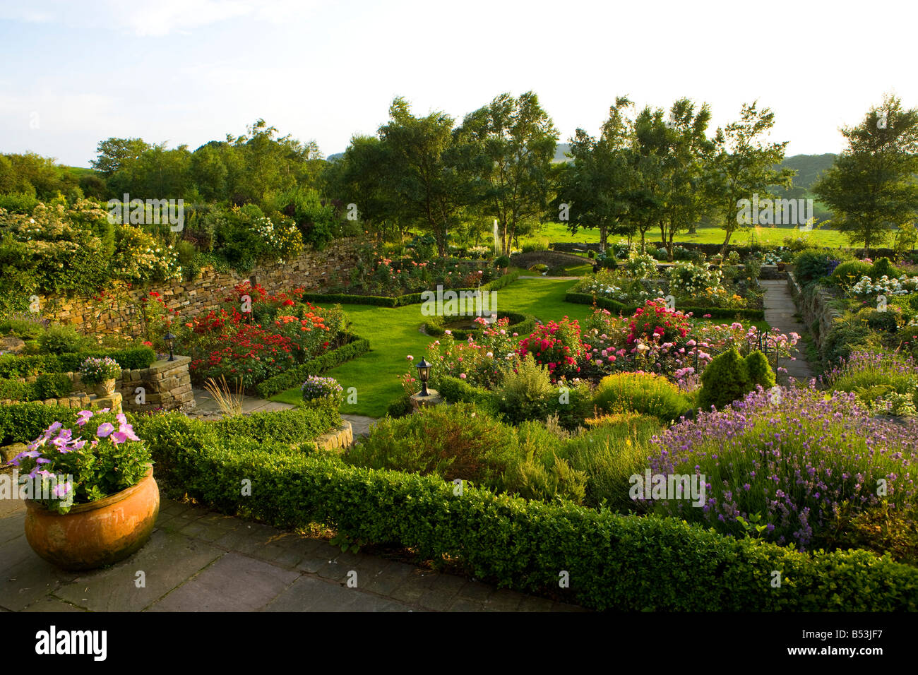 großer Garten mit Rosen Betten Stockfoto
