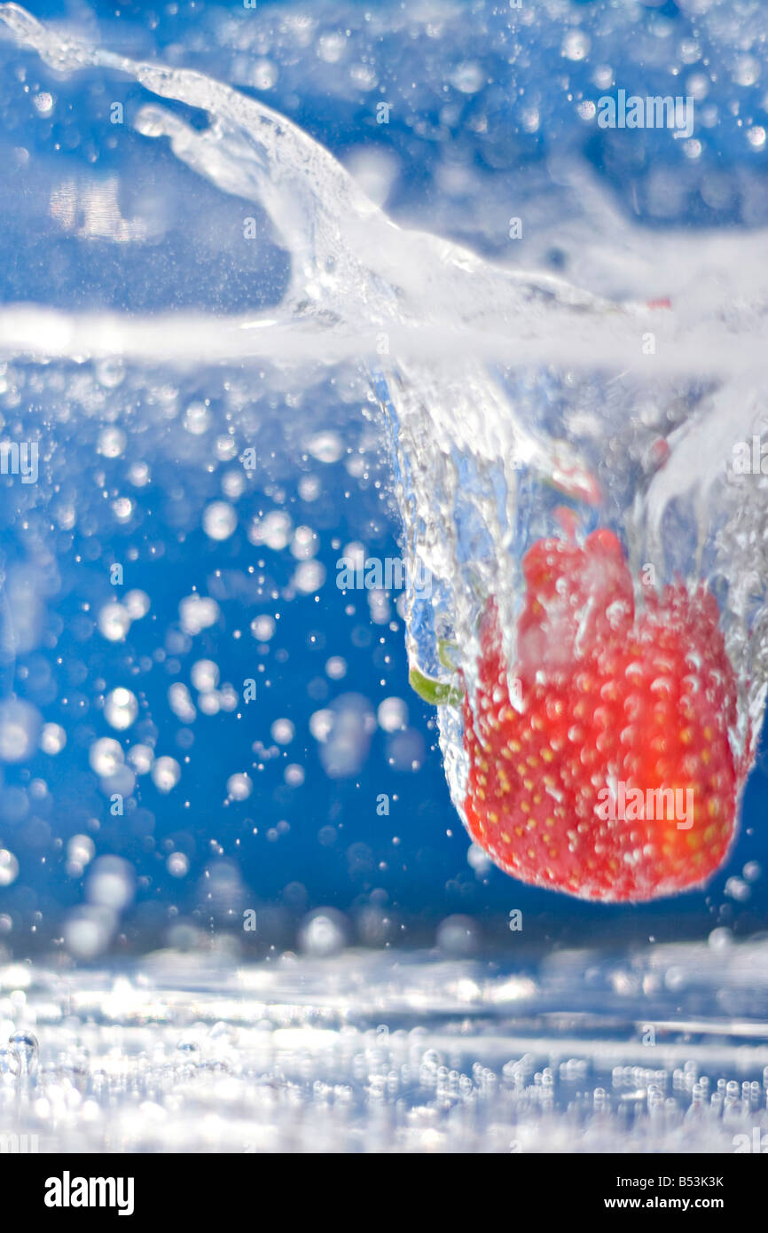 Eine saftige rote Erdbeere eintauchen in Wasser geringe Schärfentiefe Stockfoto
