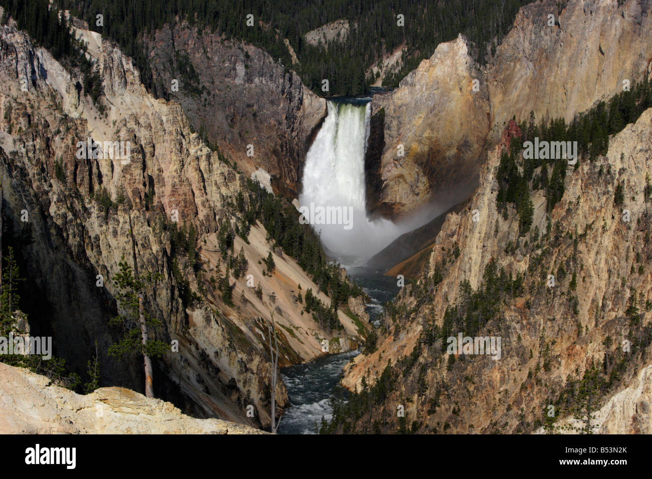 Grand Canyon des Yellowstone niedriger fällt mit Yellowstone River und fällt im Juli Stockfoto