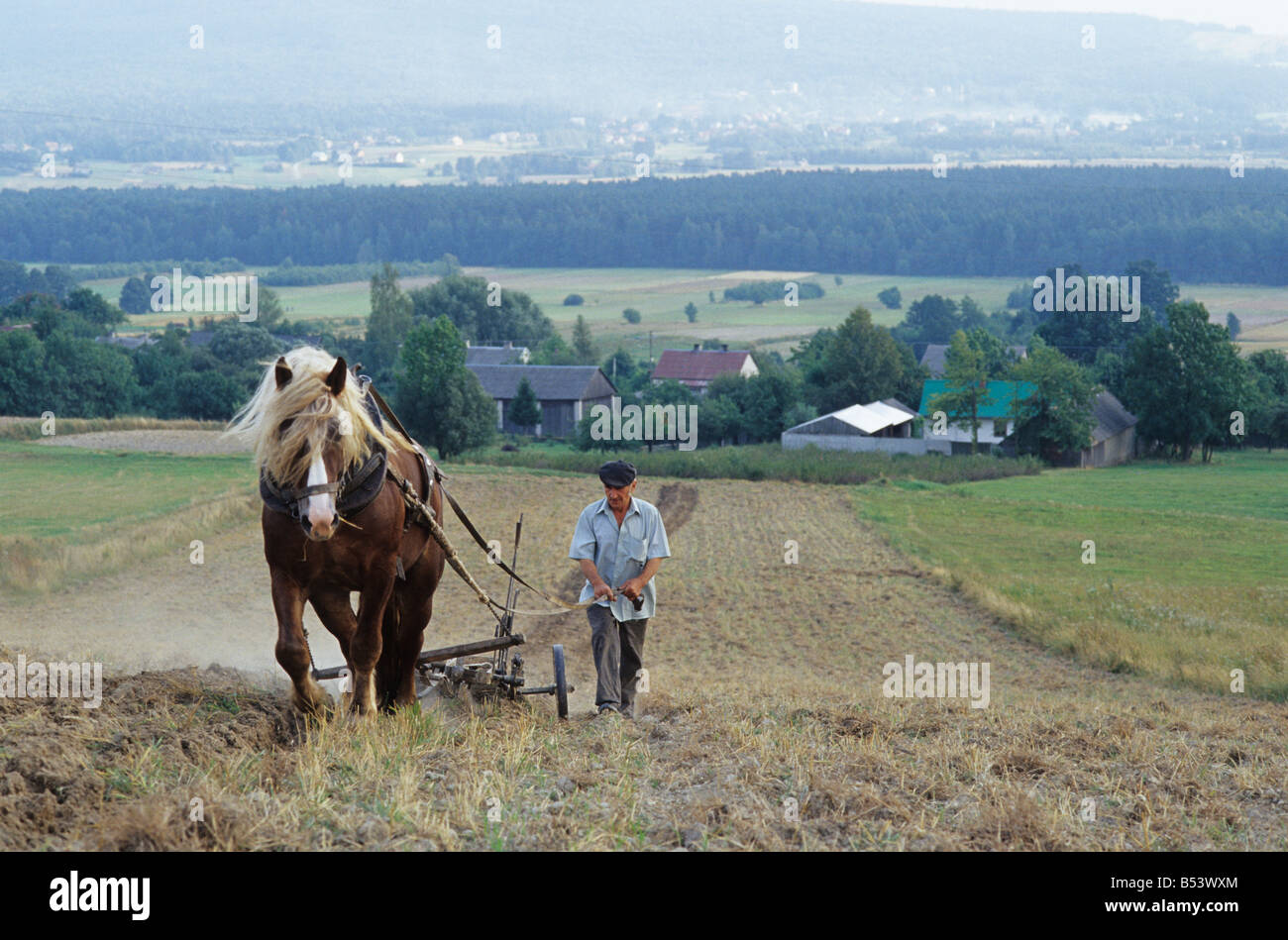 Polen Psary Dorf, Bodenbearbeitung Plackerei Mühe mit Pferd Pflug Stockfoto