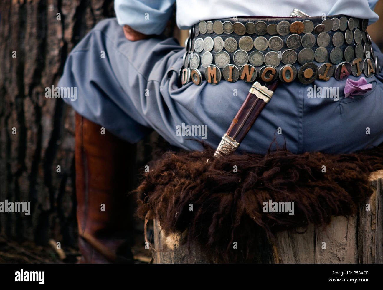 Ein Gaucho sitzt auf einem Fell bedeckte Baumstumpf in der Stadt San Antonio de Areco in der Provinz Buenos Aires Argentinien Stockfoto