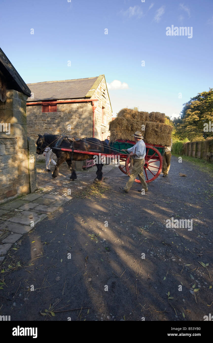 Eine altmodische, Pferd und Wagen, die Arbeiten an der Beamish Outdoor Museum Co Durham Stockfoto