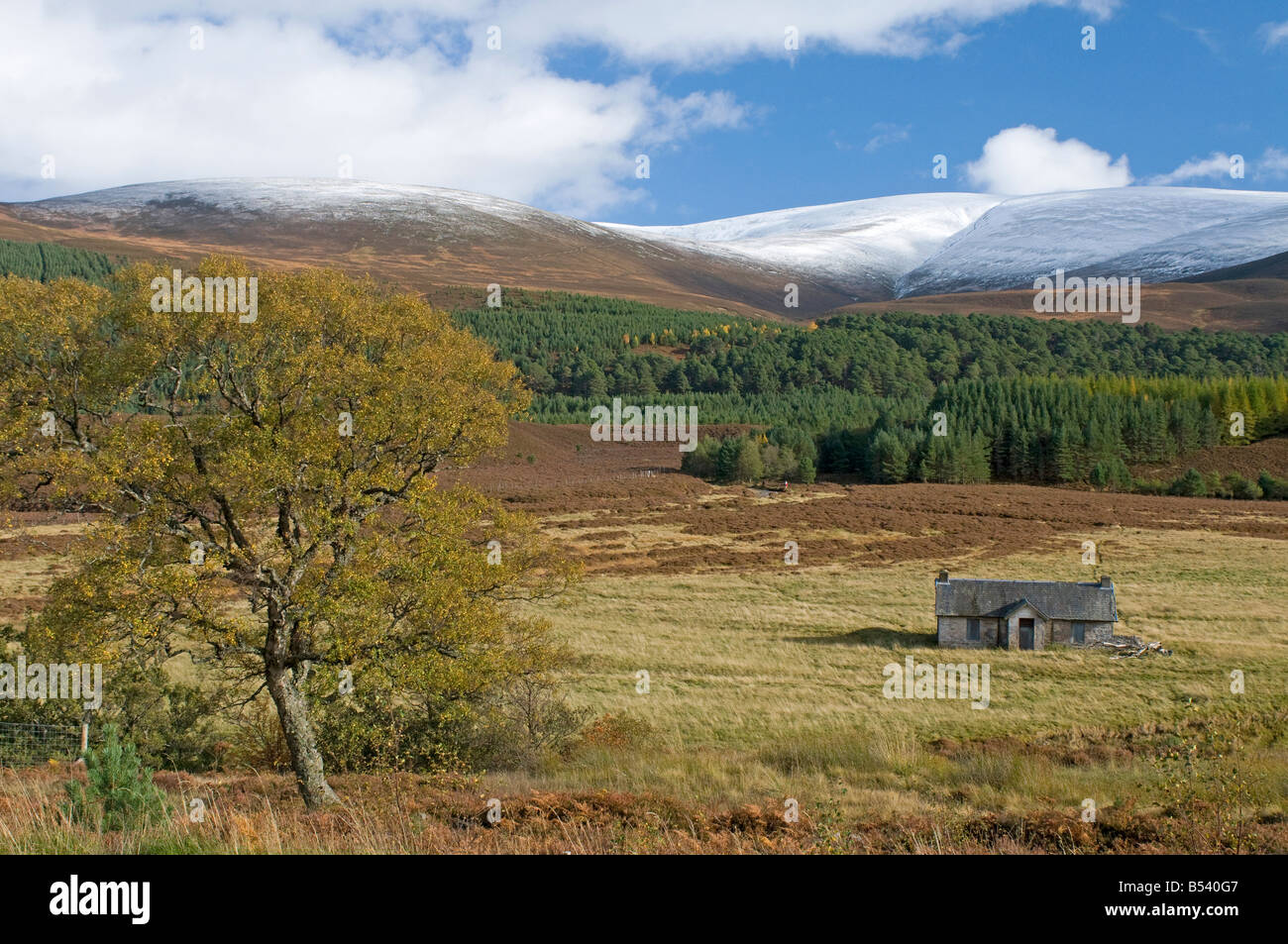 Achleum, Glen Feshie im Cairngorms-Nationalpark Inverness-Shire, Scotland UK SCO 1049 Stockfoto