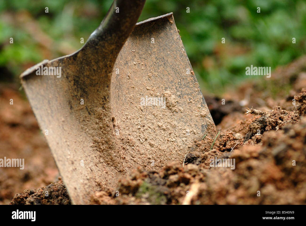 Schaufel im Dreck Stockfoto