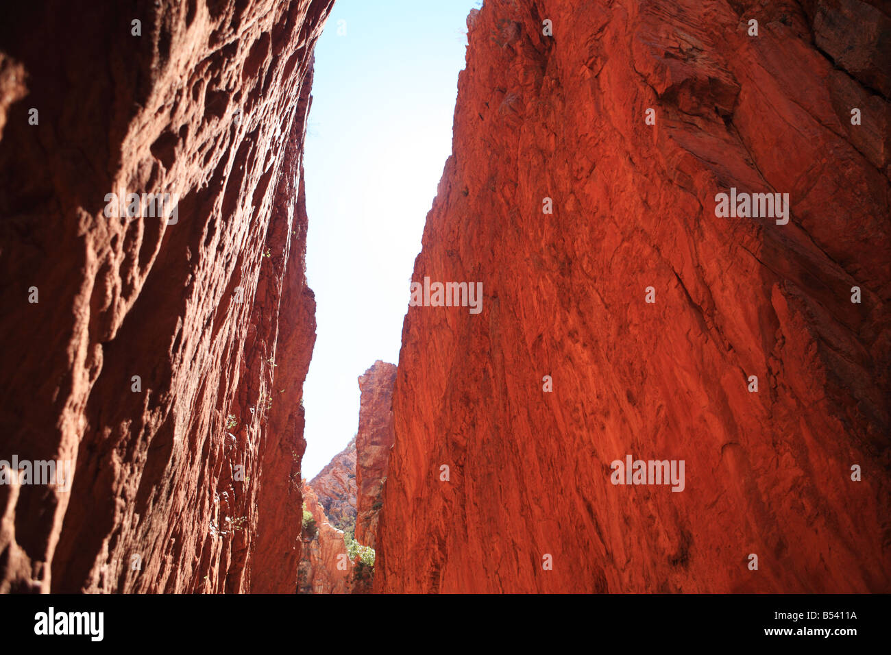 Die roten Klippen von Stanley Chasm, Northern Territory Stockfoto