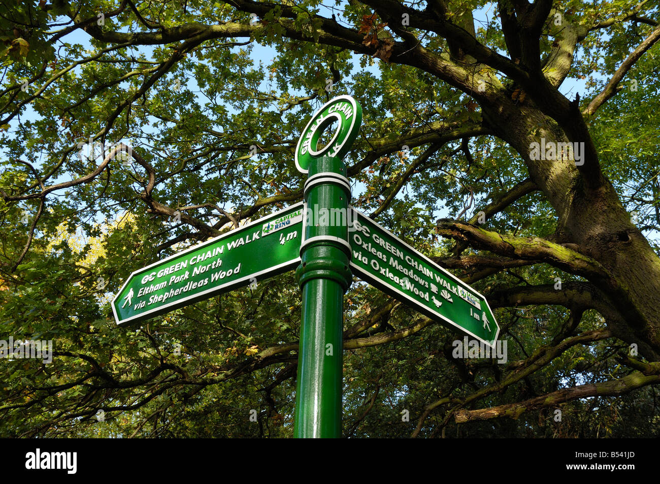 Grüner Kettenweg-Wegweiser im Südosten Londons mit Blick auf ältere Bäume im Hintergrund Stockfoto