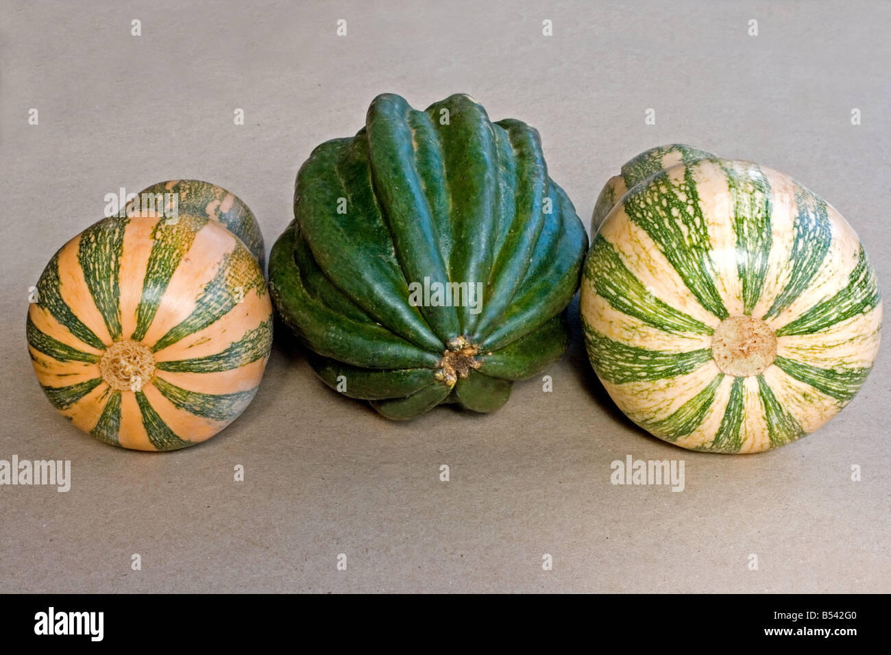 Kürbis-close-up auf neutralem Hintergrund Stockfoto