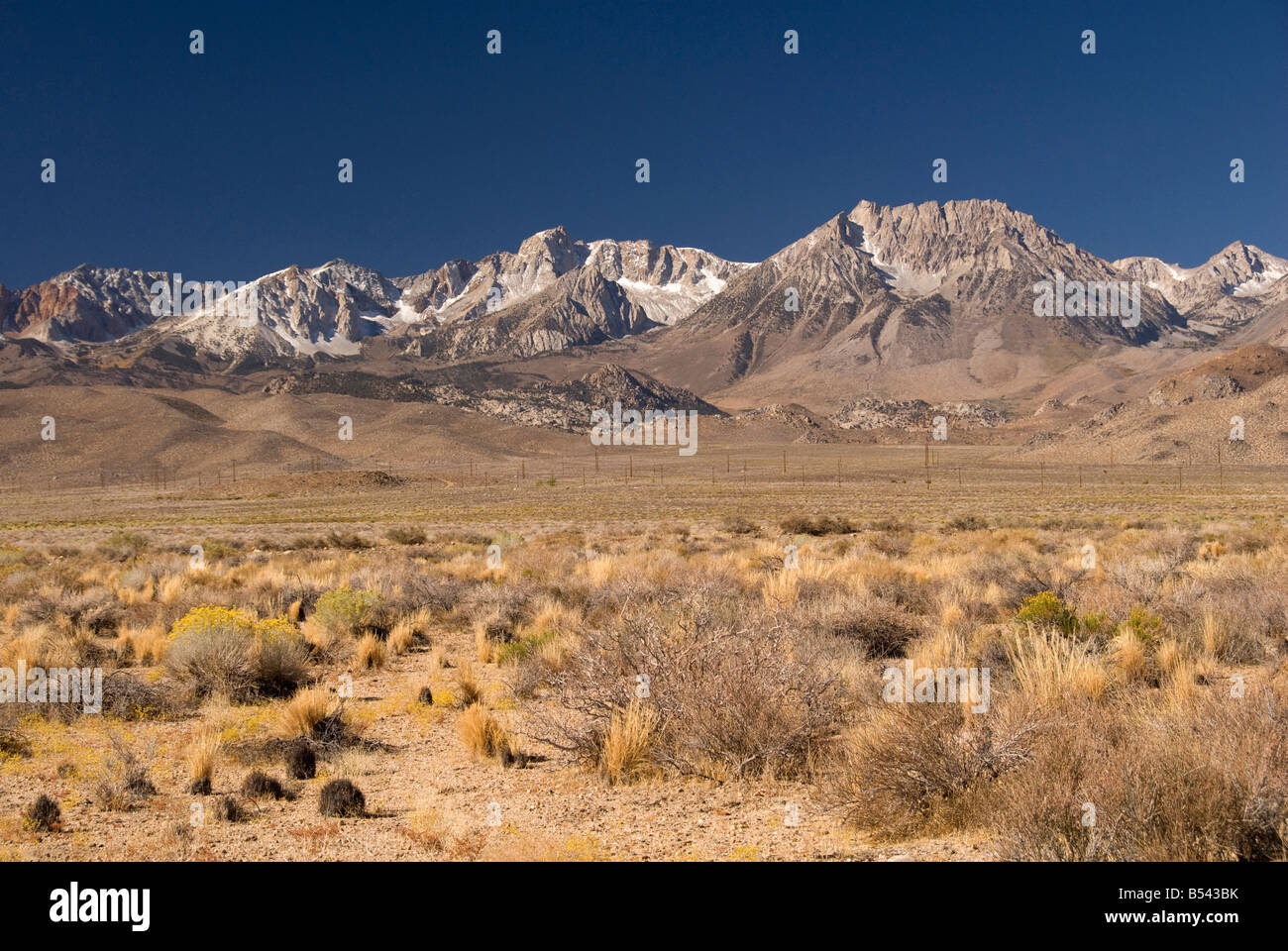 Östliche Sierra Gebirge und Hochebenen in der Nähe von Bischof California Vereinigten Staaten von Amerika Stockfoto