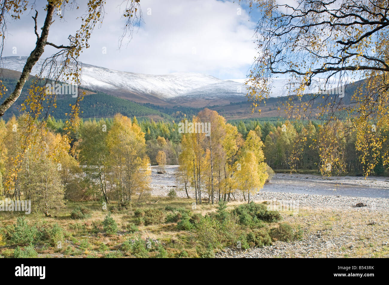 Der Fluss Feshie in Glen Feshie im Cairngorms-Nationalpark Inverness-Shire, Scotland UK SCO 1046 Stockfoto