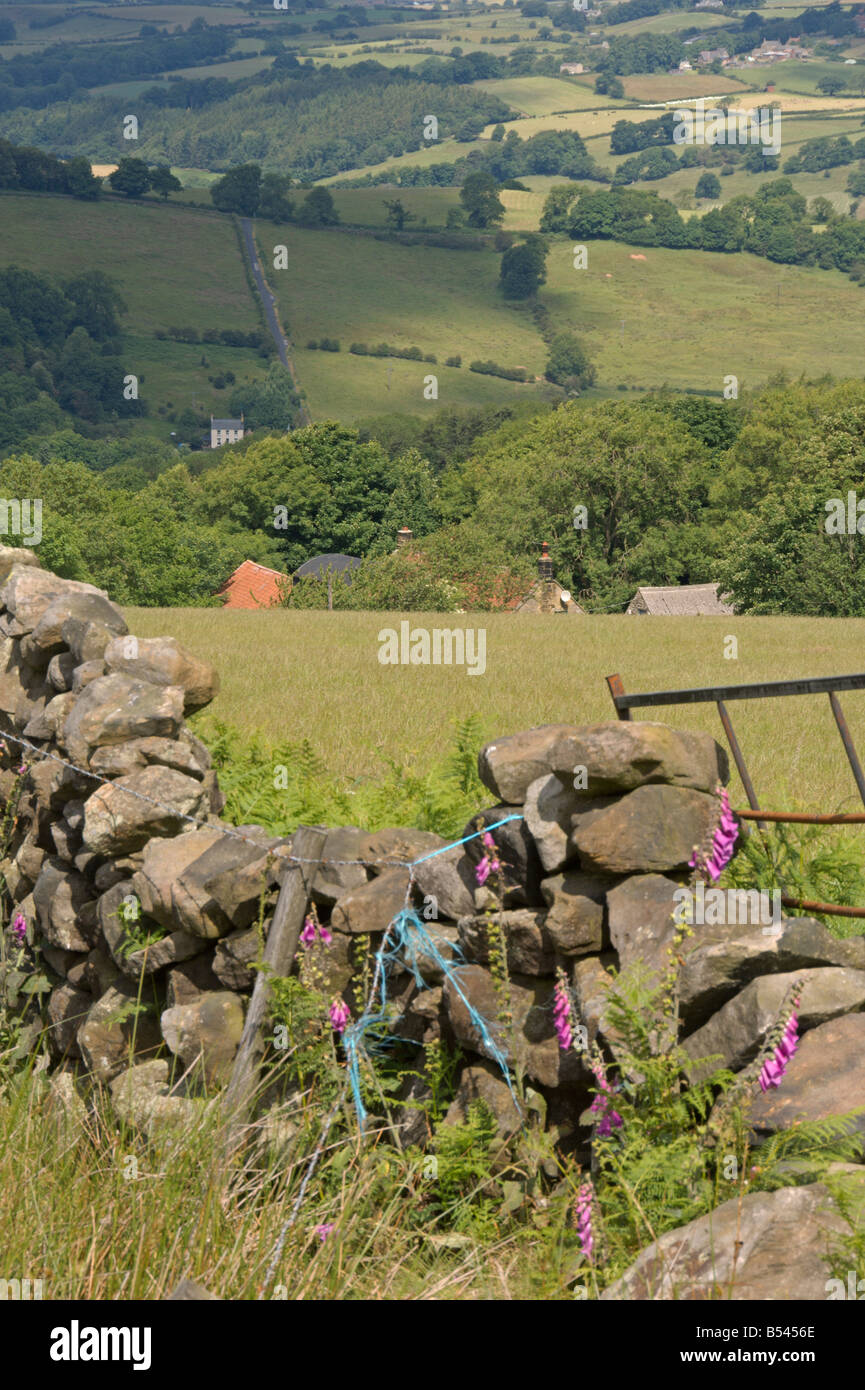 North Yorkshire Moors, Blick nach Norden über Esk-Tal in der Nähe von Beck Loch Whitby England Juli 2008 Stockfoto