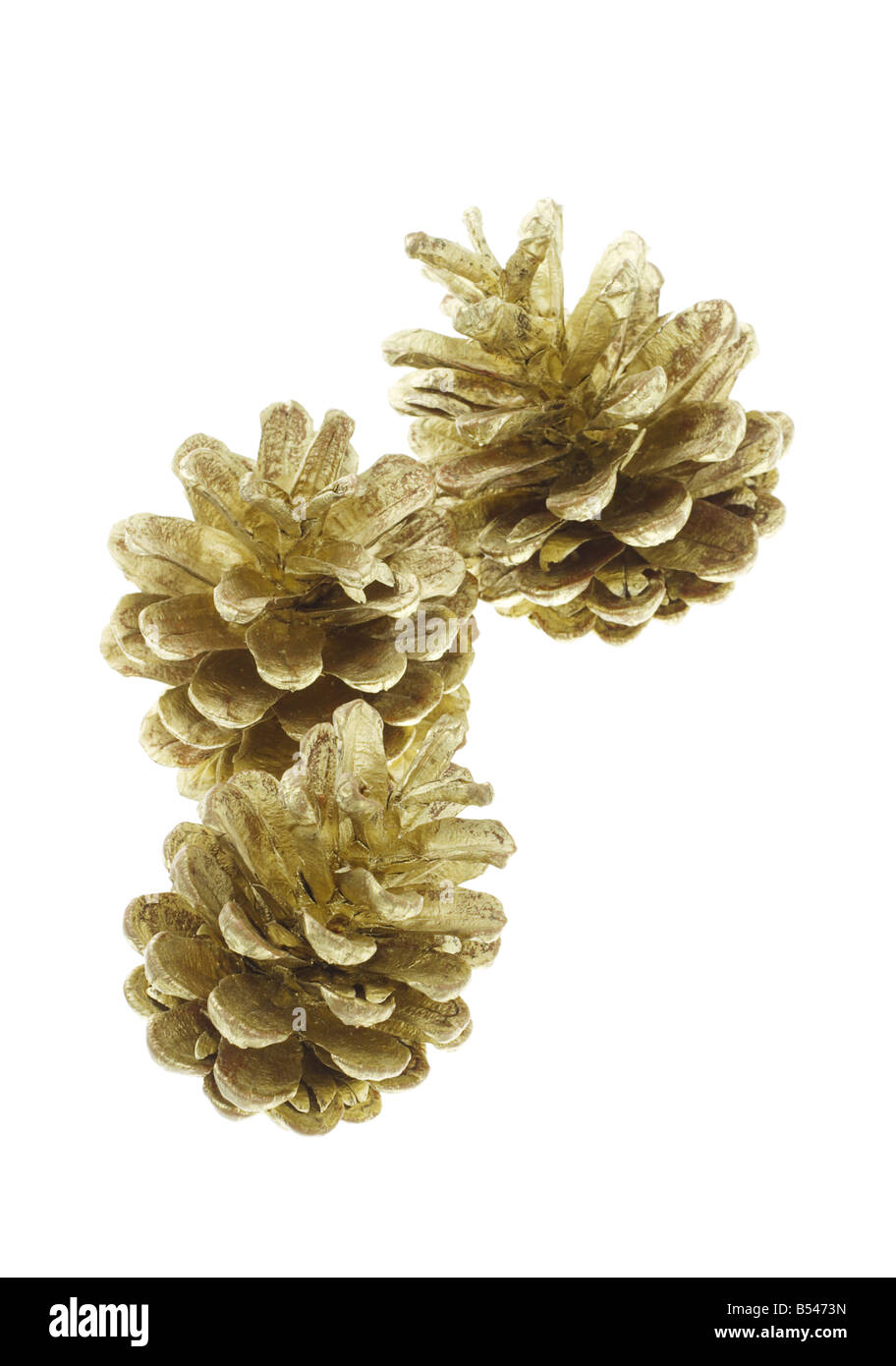 Dekorative Kiefer Kegel Weihnachtsbaum Ornament auf weißem Hintergrund Stockfoto