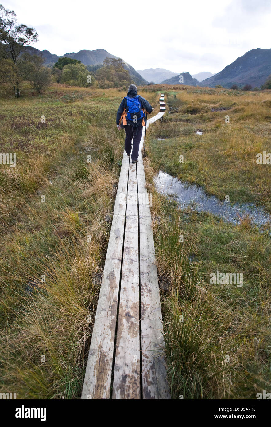 Eine Gehhilfe mit Holzstege zu einem sumpfigen Querschnitt fiel im englischen Lake District, Cumbria. Stockfoto