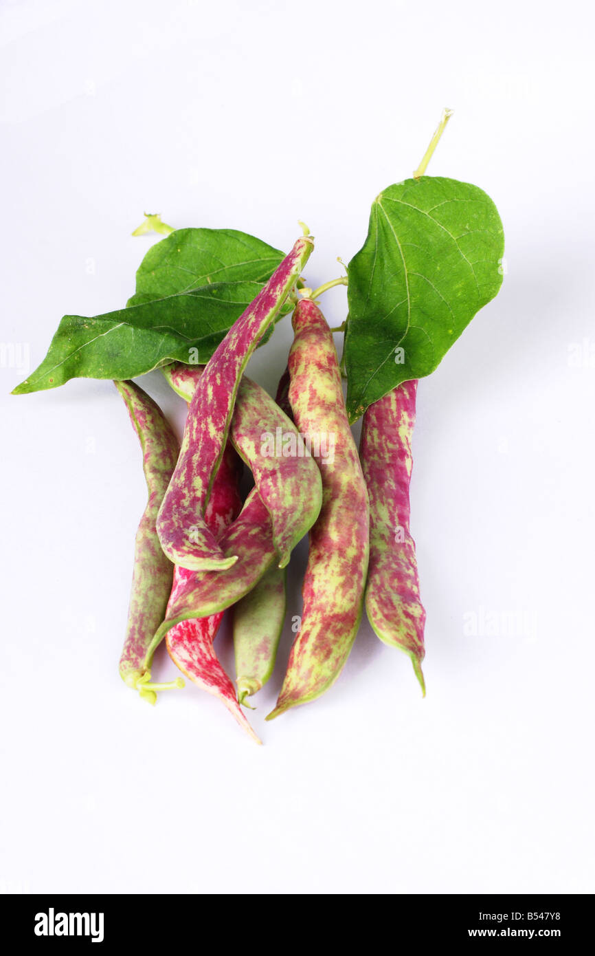 Farbige Bohnen Stockfoto