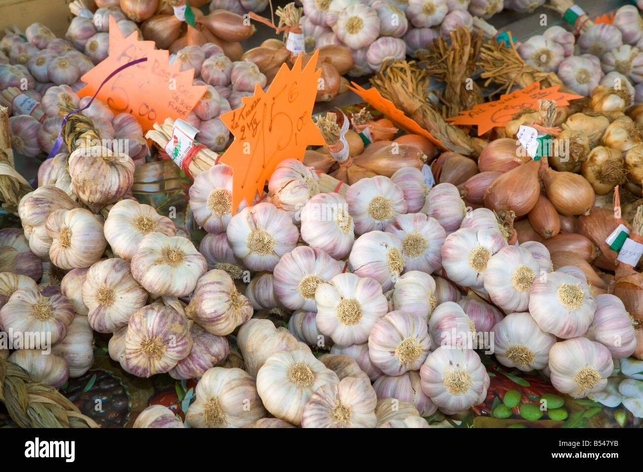 Knoblauch Zwiebeln angeboten werden, auf einem Bauernmarkt in Sainte-Maxime an der Cote d ' Azur / Provence Stockfoto