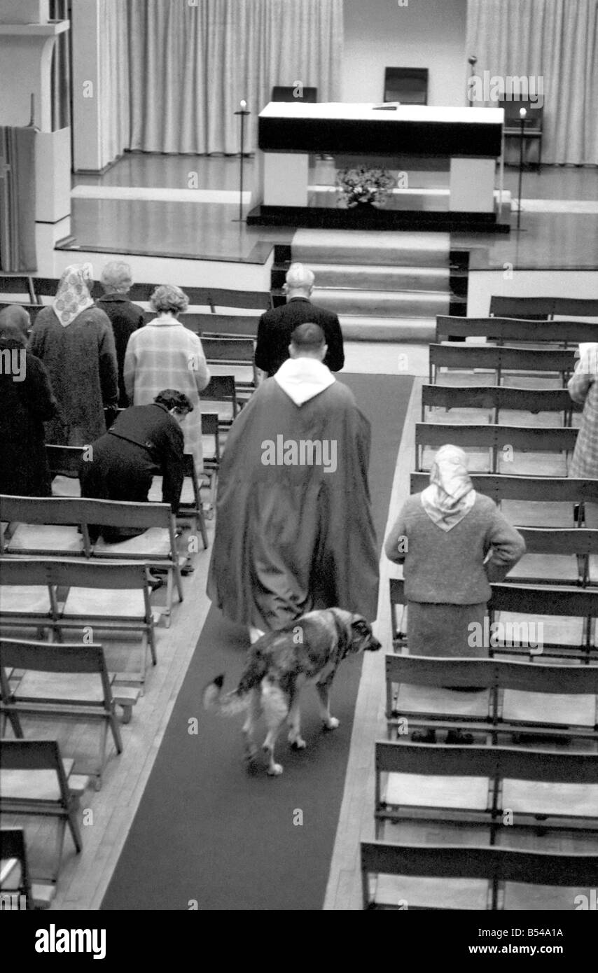 Dürfen Hunde In Die Kirche Hunde Tiere humor Religion: "Schatten" der elsässischen ihrem Meister