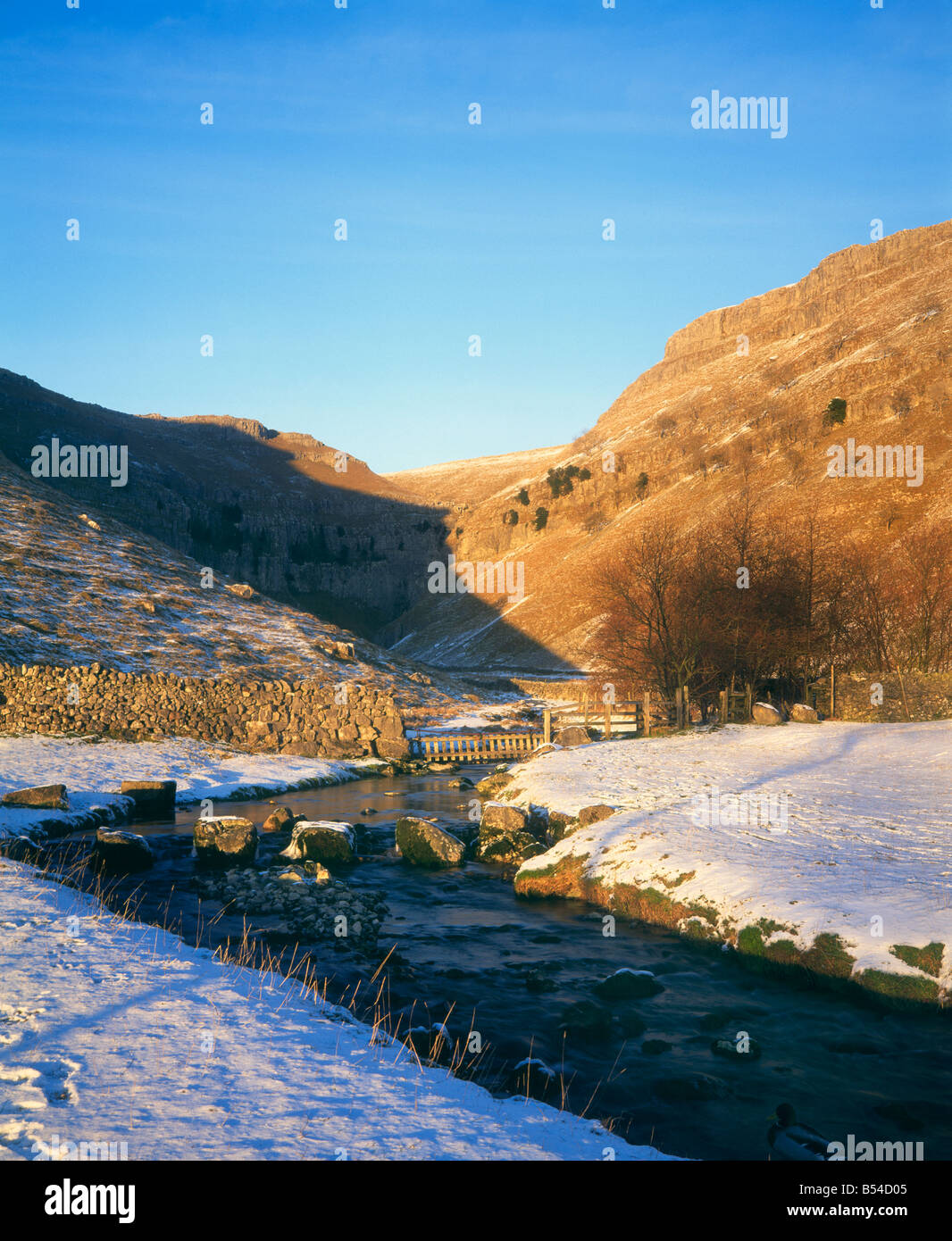 Gordale Beck durch Gordale Narbe fast 50 Meter tief in der Nähe von Malham im Winter Schnee Yorkshire Dales UK Stockfoto