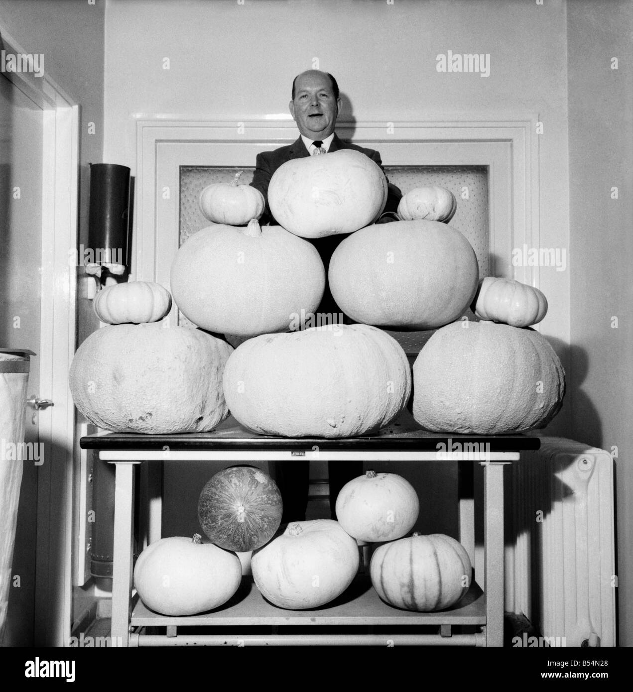 58 Jahre alten Charlie Roberts von Eastbourne, Sussex ist stolz auf seine Kürbis wachsenden Fähigkeiten. Er wendet sich gegen jeden Hobbygärtner t Stockfoto