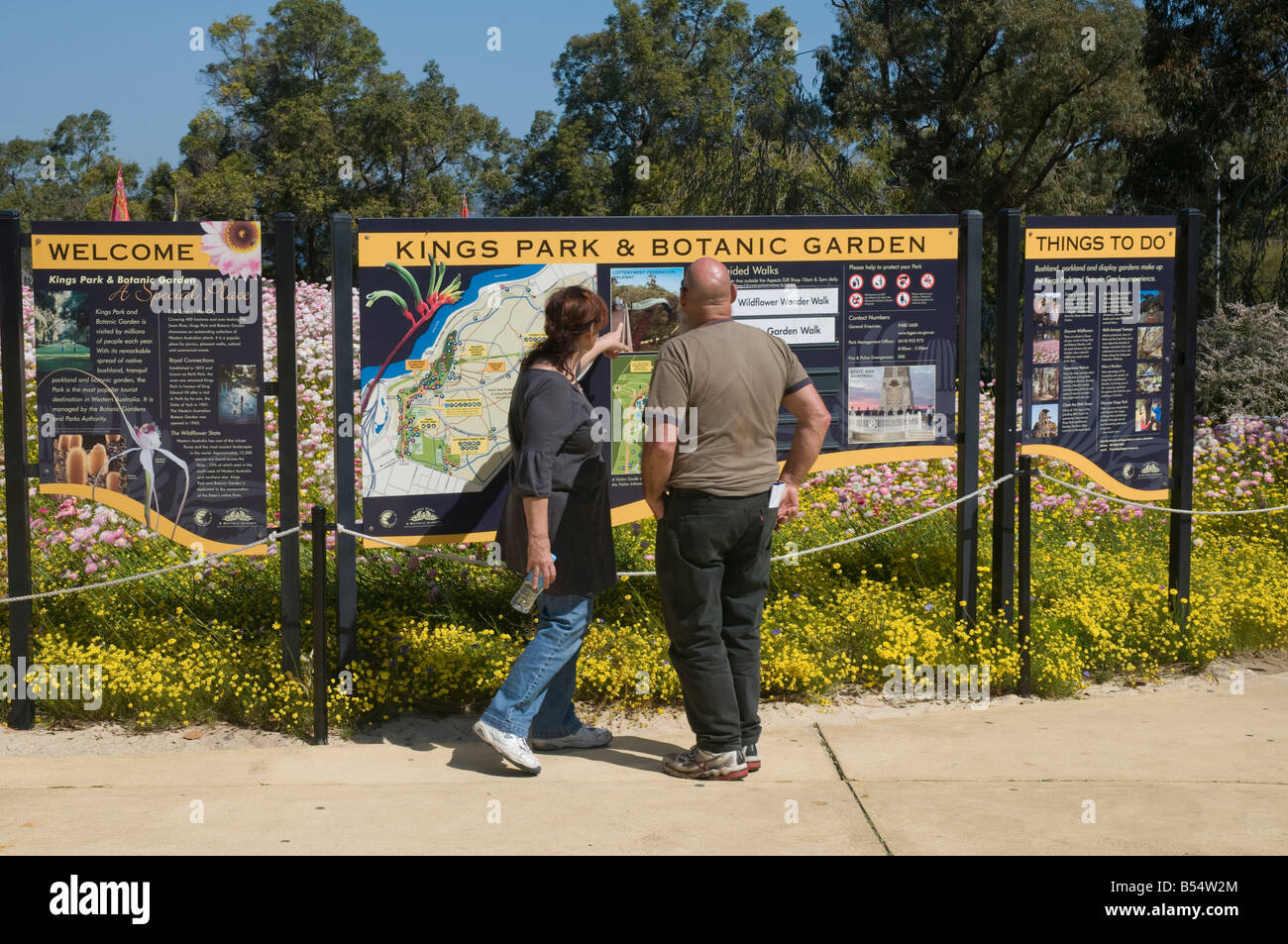 Besucher zum Wildflower Festival in Kings Park Perth Blick auf eine Karte der Gärten Stockfoto