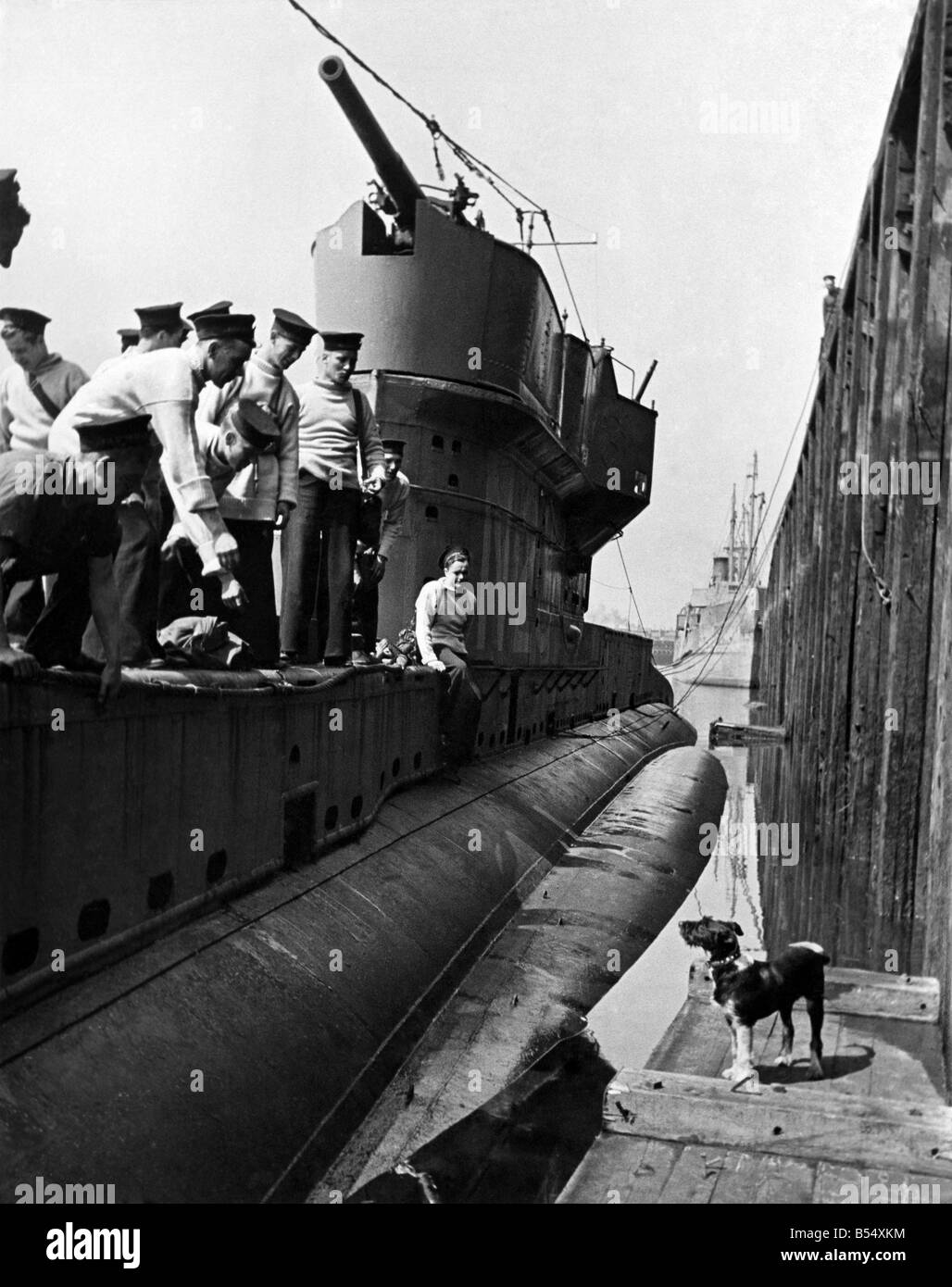 Dem zweiten Weltkrieg Maskottchen. Whisky ein streunender Hund angenommen von der Besatzung eines H.M.S u-Boote, hat über 100 Fahrten mit Crew und d Stockfoto