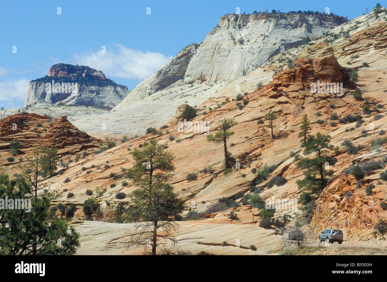 Mount Camel Highway in Zion National Park in Utah USA Stockfoto