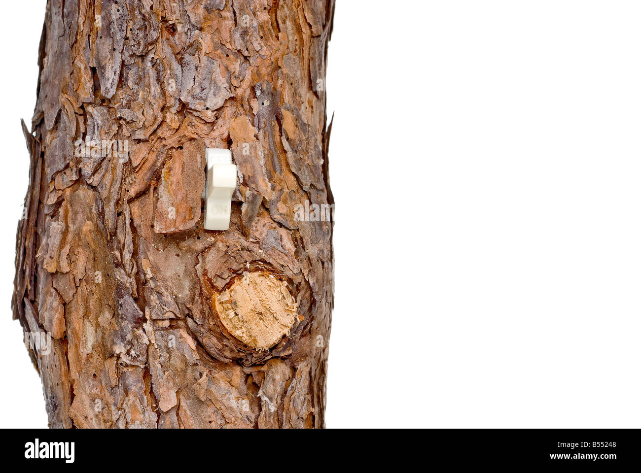 LightSwitch im Baumstamm Stockfoto