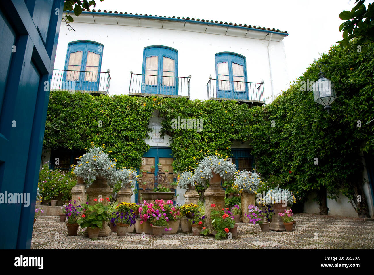 Blumentöpfe in einem mediterranen Innenhof Garten Teil des Festival der Patios, Cordoba Andalusien Spanien. El Concurso de Los Terrasse Stockfoto