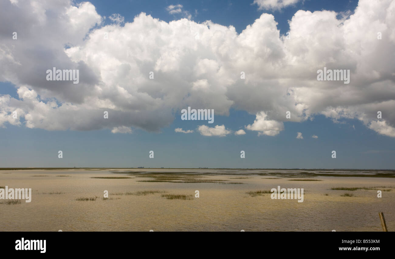 Las Marismas, Coto Donana Nationalpark, Andalusien, Süd-West-Spanien Stockfoto