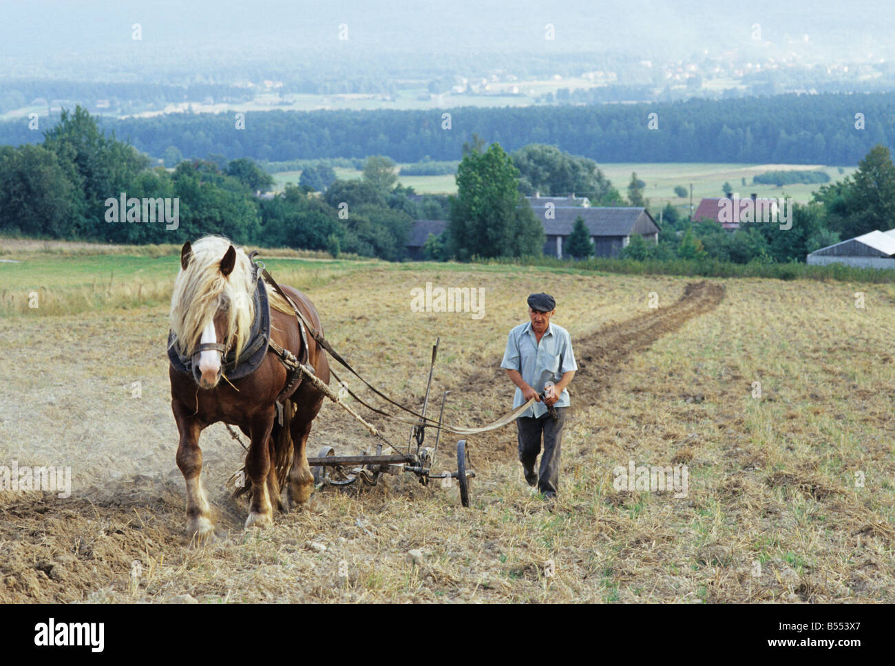 Polen Psary Dorf, Bodenbearbeitung Plackerei Mühe mit Pferd Pflug Stockfoto