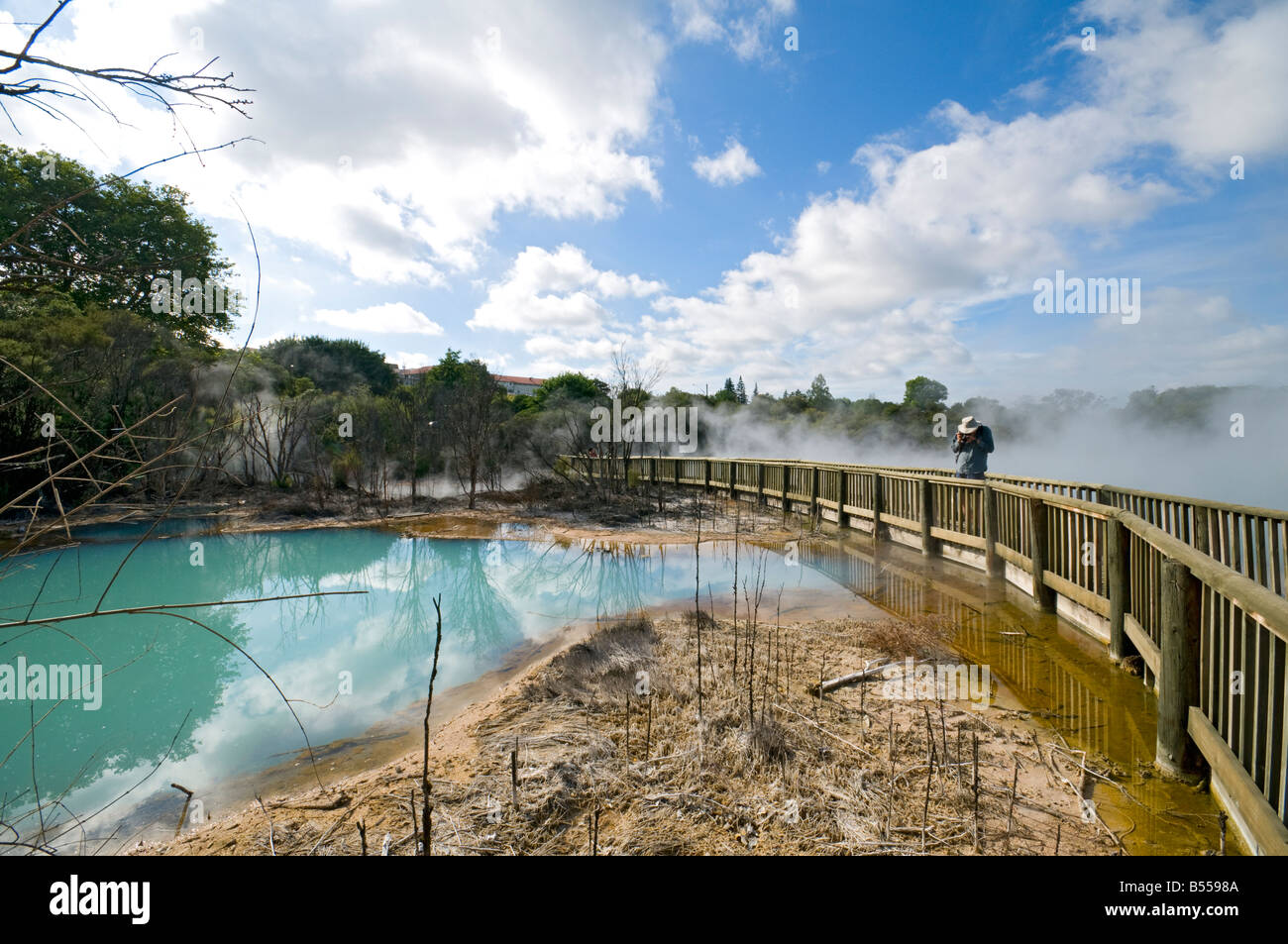 Geothermischen Quellen in Kuirau Park, Rotorua, Nordinsel, Neuseeland Stockfoto