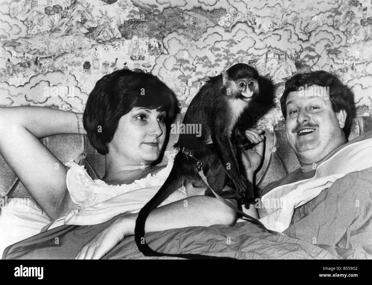 Affe Puzzle. Terry und Carol Kiernan und Ton Ton. Januar 1986 P011699 Stockfoto