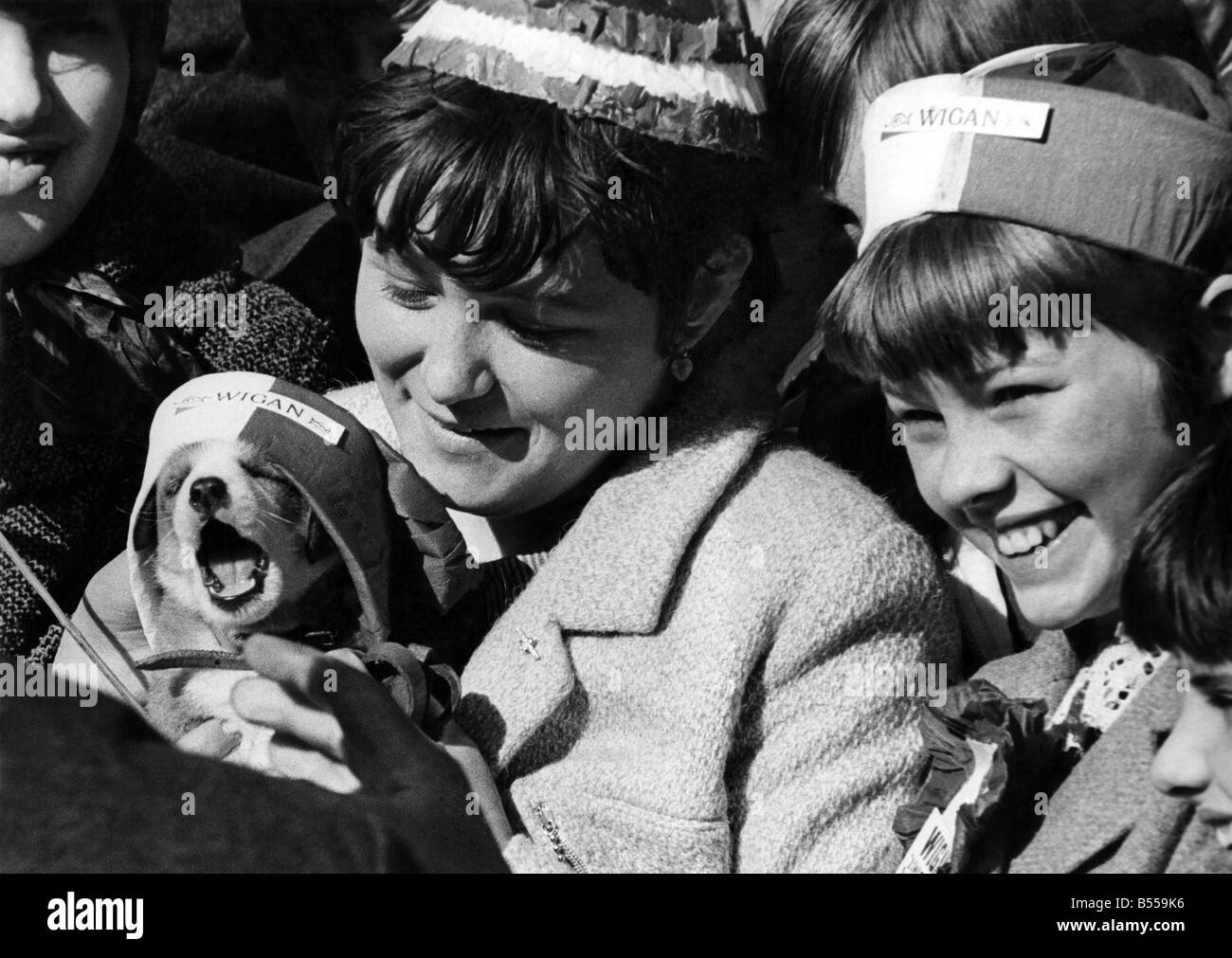 Rugby-League-Klub Wigan Rückkehr in die Heimat von Wembley mit dem Cup. Butch, ein Welpe von Pauline Booth, statt den Kopf ab als sie bellt Stockfoto