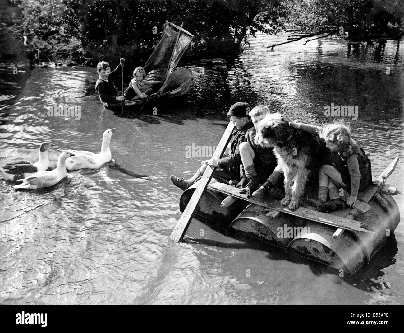 Enten begleiten Sie in die "Ente Teich Regatta" von den Kindern Yachting Club am Green Farm. Newbold, in der Nähe von Chesterfield, wo Grandchi Stockfoto