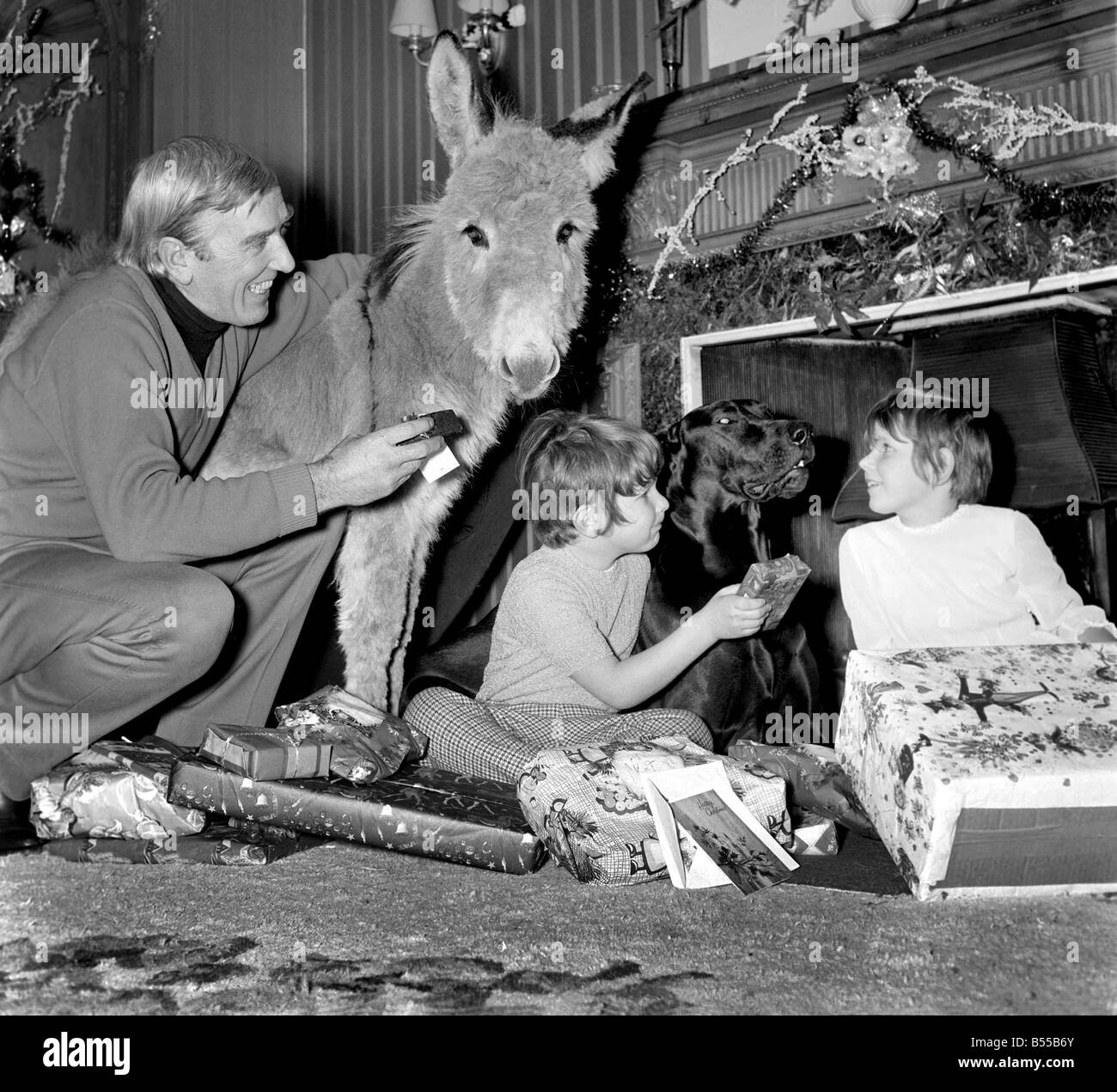 Während der Weihnachtsfeiertage in Panto Robert Keegan Z Auto Ruhm (Sergeant Blackie) arbeiten werden aber er werde Weihnachten zu Hause mit seiner Familie verbringen. Bob hat ein Esel-Gestüt (Ringwood Ranch Esel Stud, Ruff Obstgarten, Hawthorne Hill, Maidenhead) und ist einfach verrückt nach Tieren, vor allem Esel. Er fand Zeit, für uns mit seinen Kindern Jaime im Alter von 7 zu posieren und Pepi im Alter von 8, plus zwei weitere seine 'Familie', Greco die Deutsche Dogge und Abaline der Esel im Alter von 6 Monaten Stockfoto