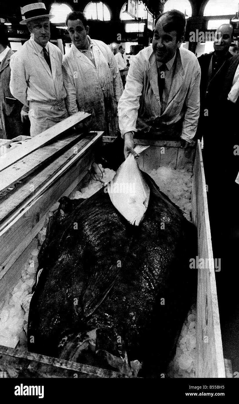 Billingsgate Fischmarkt. Heilbutt. September 1968 P012697 Stockfoto