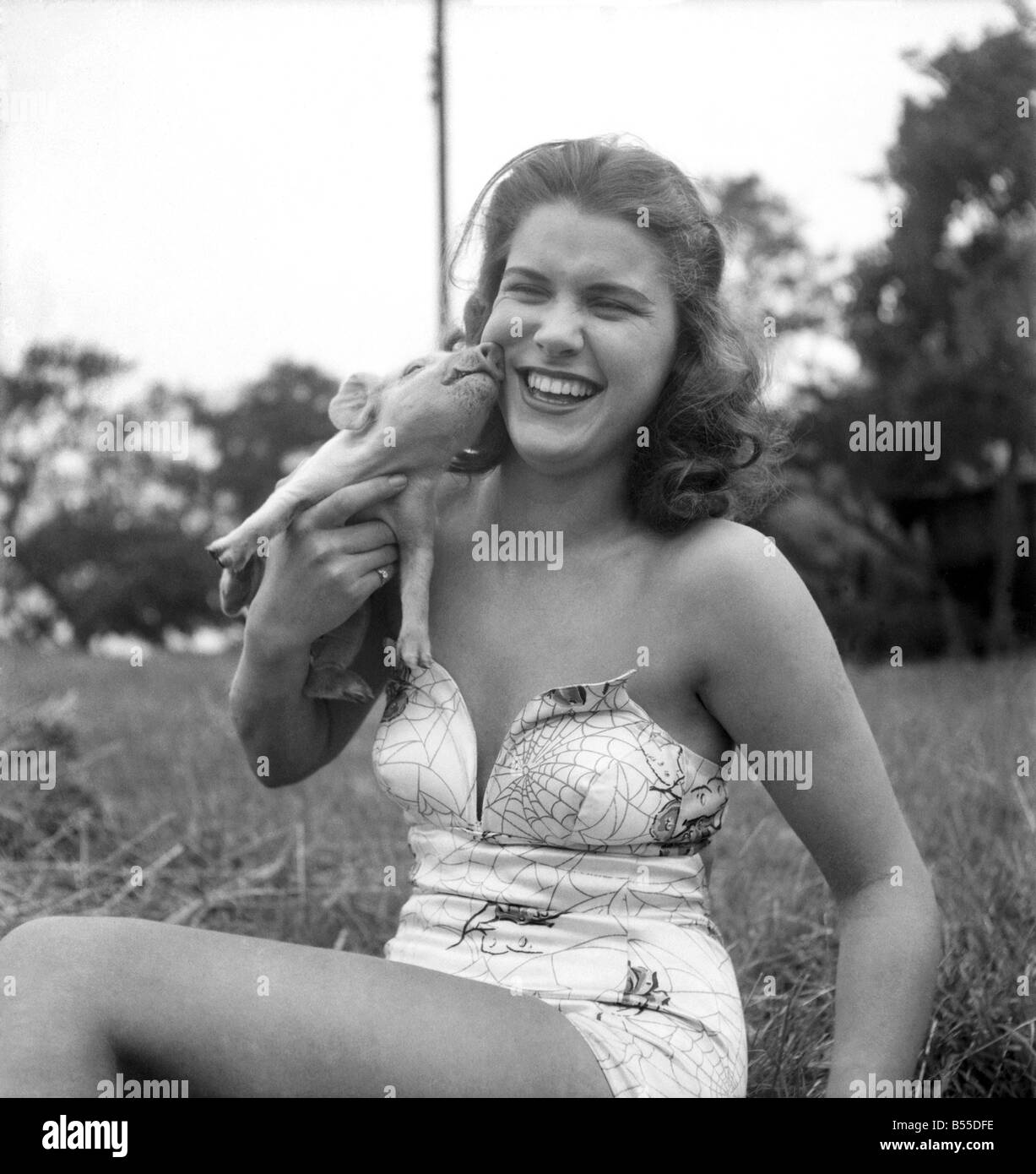 Tiere: Schweine: Syd Owen mit ein Monat alte Ferkel, das kleinste von einem anderen Wurf die sie Aufzucht ist, einige ihrer Ausgaben für Sightseeing in Amerika bezahlen. September 1953 D5651-002 Stockfoto