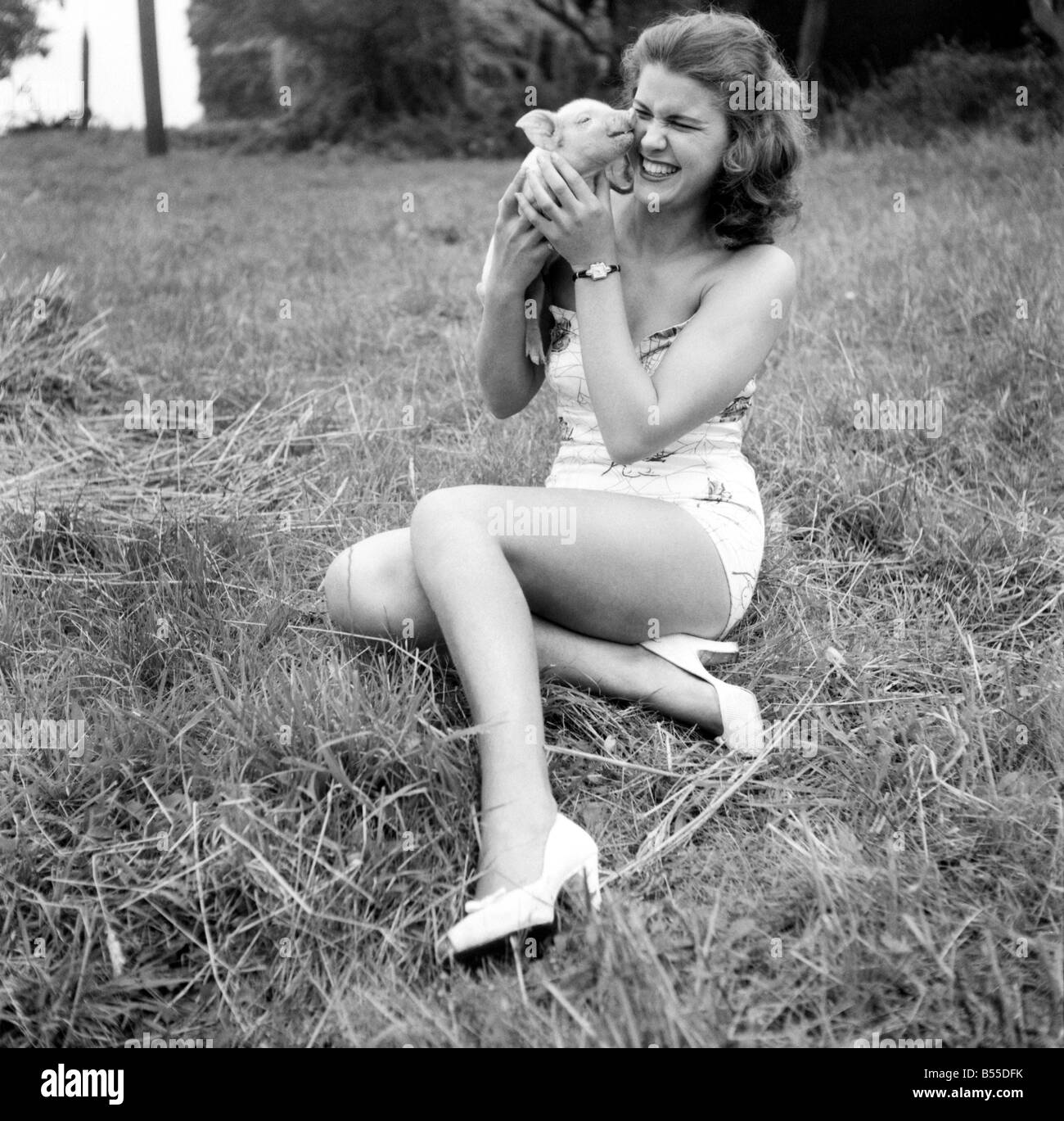 Tiere: Schweine: Syd Owen mit ein Monat alte Ferkel, das kleinste von einem anderen Wurf die sie Aufzucht ist, einige ihrer Ausgaben für Sightseeing in Amerika bezahlen. September 1969 D5651-004 Stockfoto
