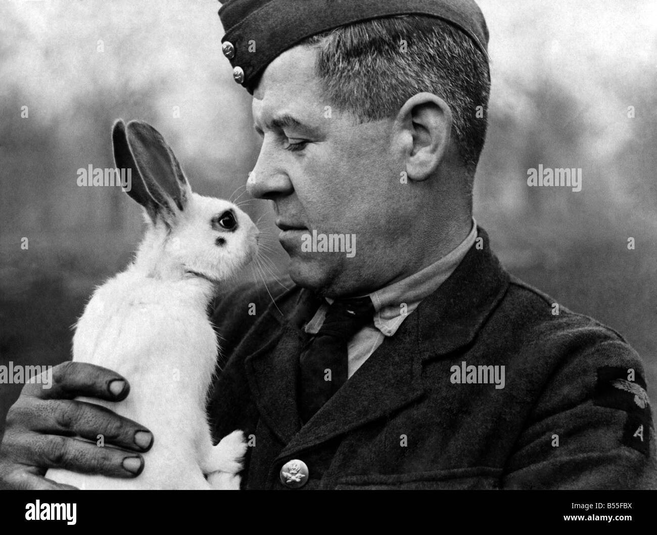 Nervt die Kaninchen, die Maskottchen auf der der Barrage-Ballon in einer der großen Parks im Zentrum von London ist. Dezember 1940 Stockfoto