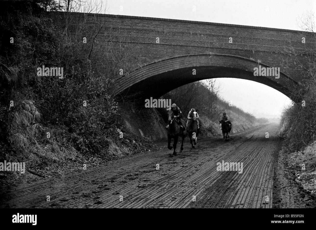 John Kenneally läuft eine zehn Pferd-Zeichenfolge an Clipsham, Rutland, verbrachte ú15, 000 in unzähligen Stunden zerreißt eine Schiene Mann verfolgen, mak Stockfoto