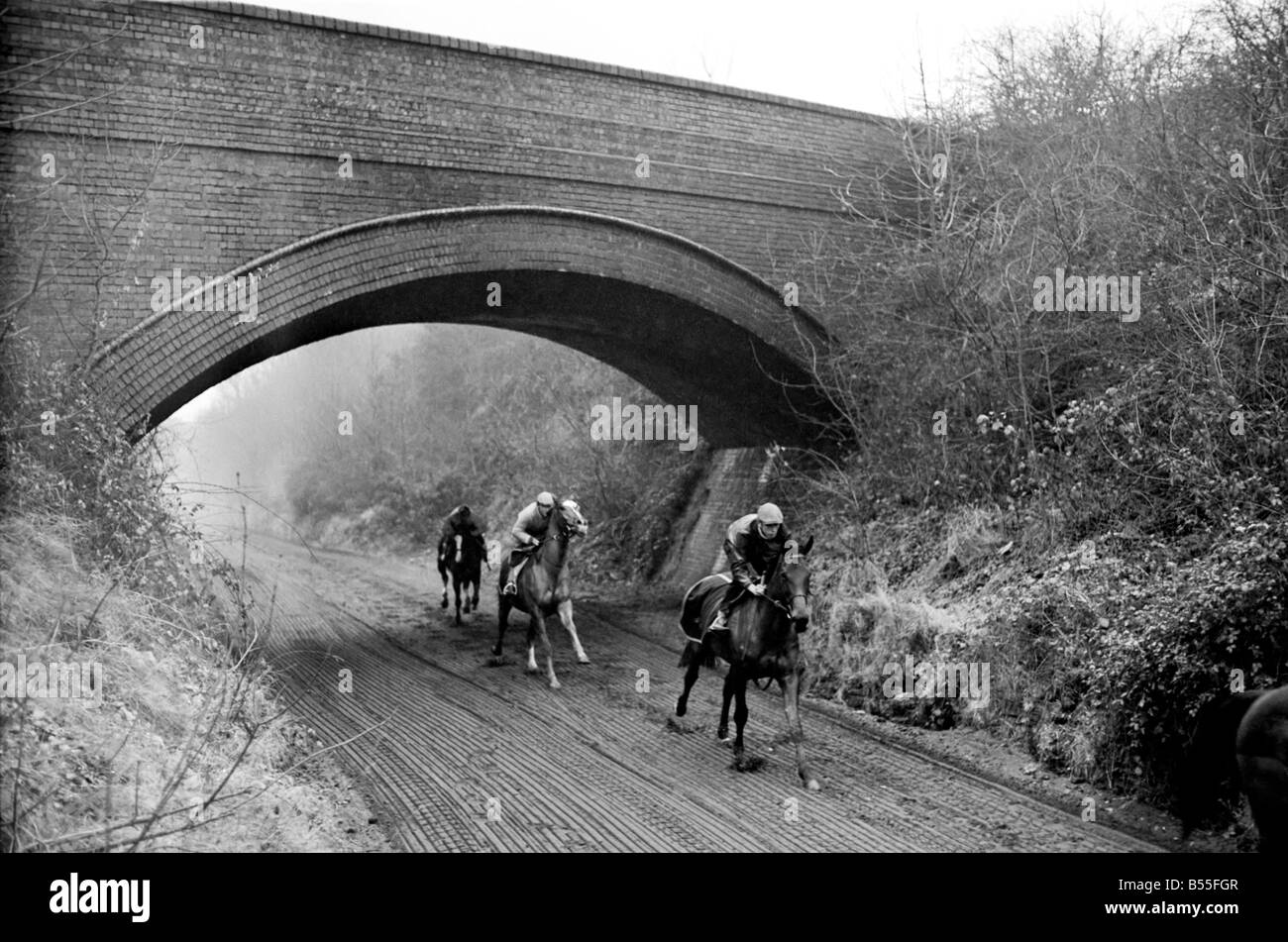 John Kenneally läuft eine zehn Pferd-Zeichenfolge an Clipsham, Rutland, verbrachte ú15, 000 in unzähligen Stunden zerreißt eine Schiene Mann verfolgen, mak Stockfoto