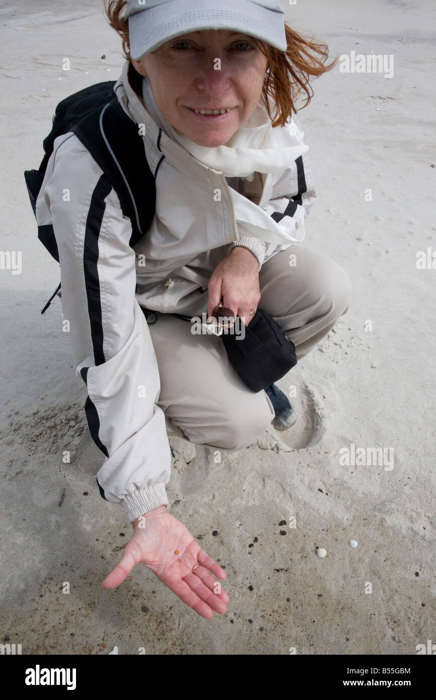 Litauische Frau auf der Suche nach Bernstein auf den Ostseestrand von der Kurischen spucken in Litauen Stockfoto