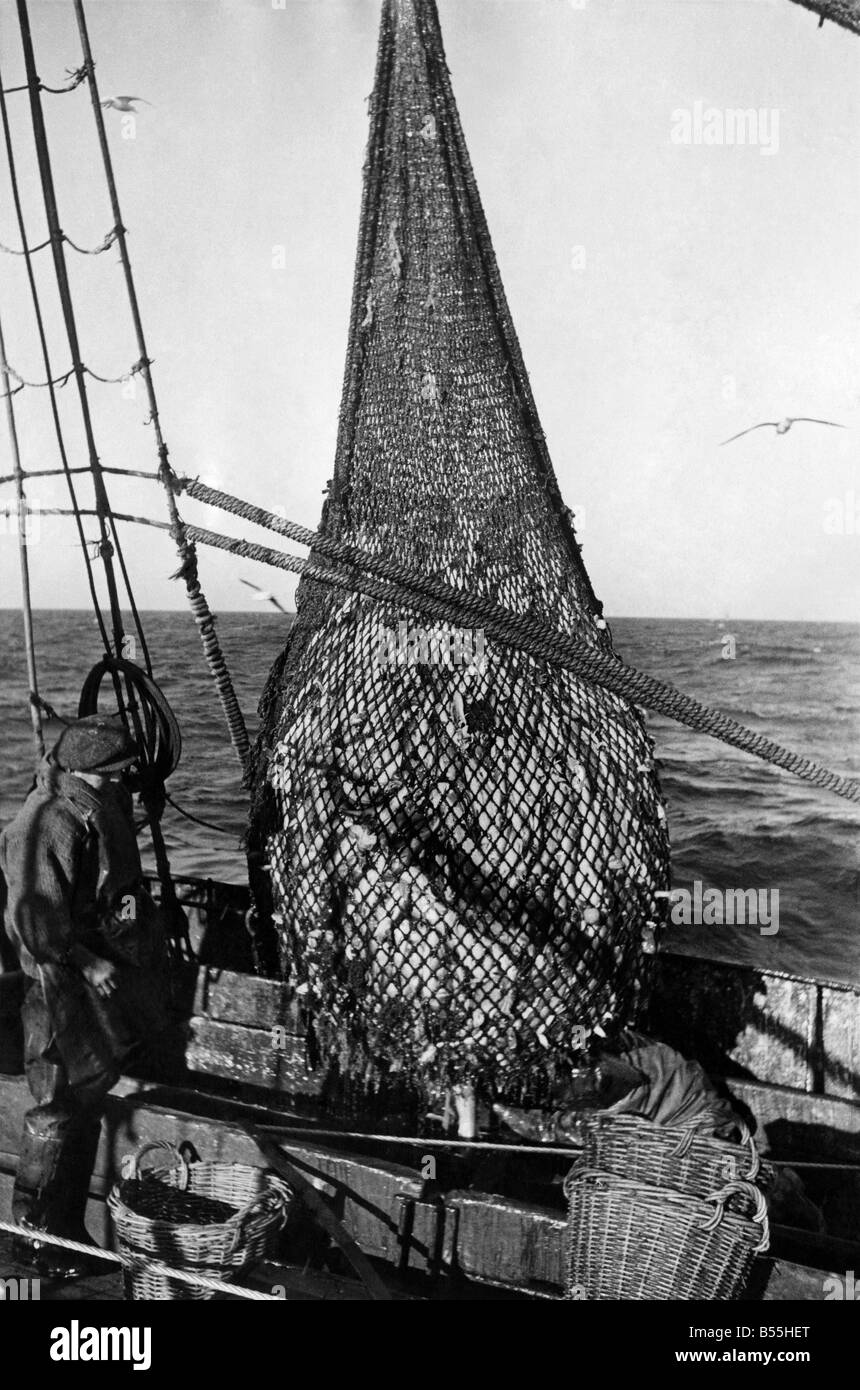 Fischkutter in der Nordsee eine gute Beute der Fische zu prüfen, nach 3 Stunden ziehen. Dieses Netz von Fischen lohnt sich über · 150. Mai 1942 P01 Stockfoto