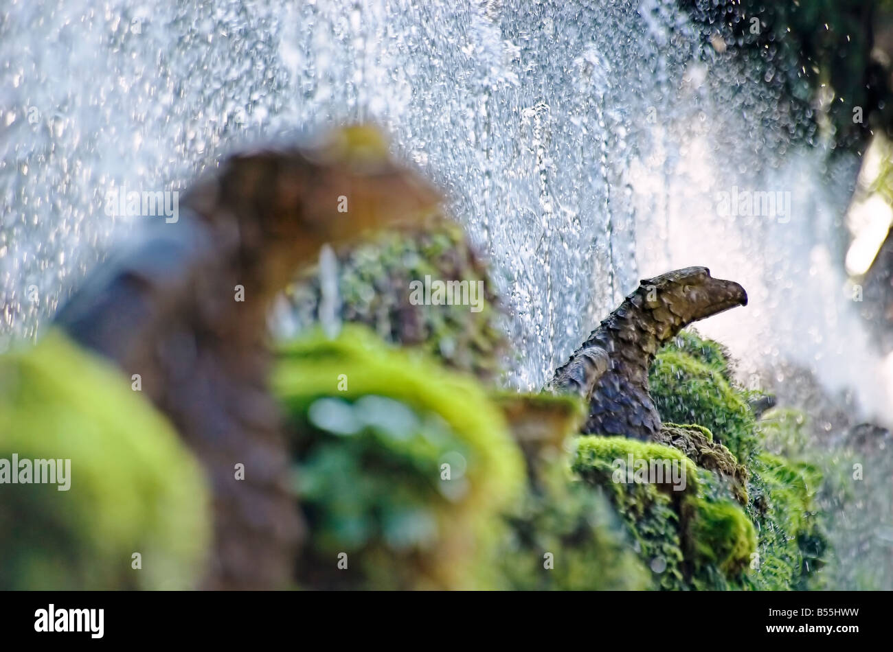 Der hundert Brunnen unter den Wasserstrahlen und Moos bedeckt Stein Villa d ' Este, Tivoli, Italien Stockfoto