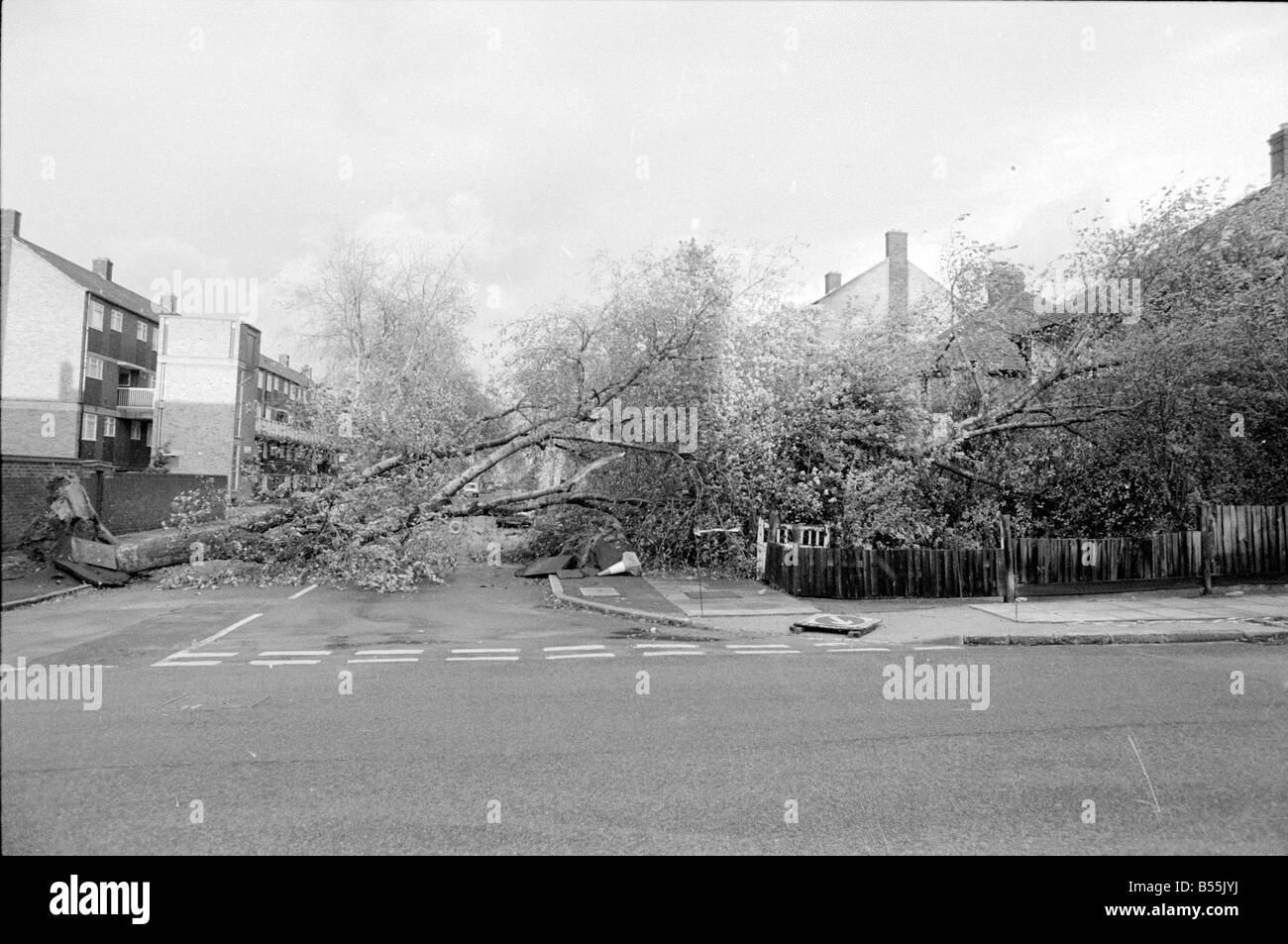 Schlechtes Wetter, entwurzelte Bäume auf beschädigte Straße nach Hurrikan. &#13; &#10; 16. Oktober 1987 &#13; &#10; Mönche. Stockfoto