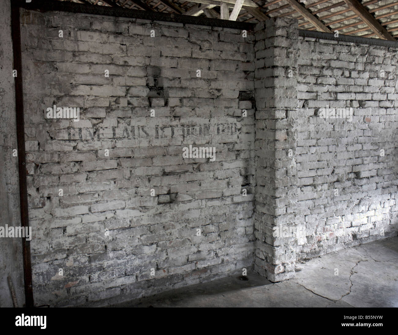 Inschrift "ist Eine Laus Dein Tod" an einer Wand in einem Gefangenen schlafen Baracke im ehemaligen KZ Auschwitz (Birkenau) Stockfoto