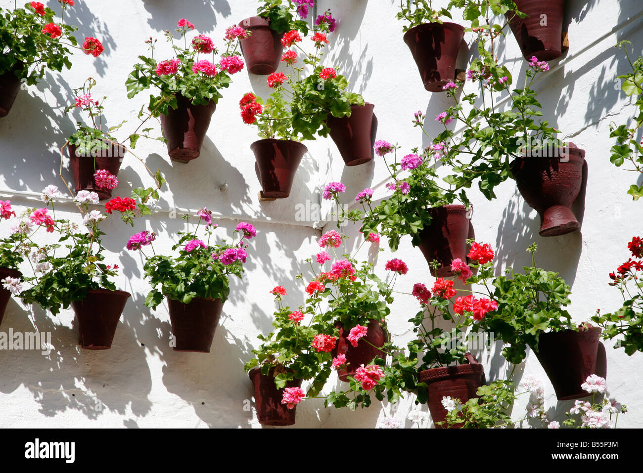Farbige Blumentöpfe mit Geranien auf eine weiß getünchte Wand in Spanien  Stockfotografie - Alamy