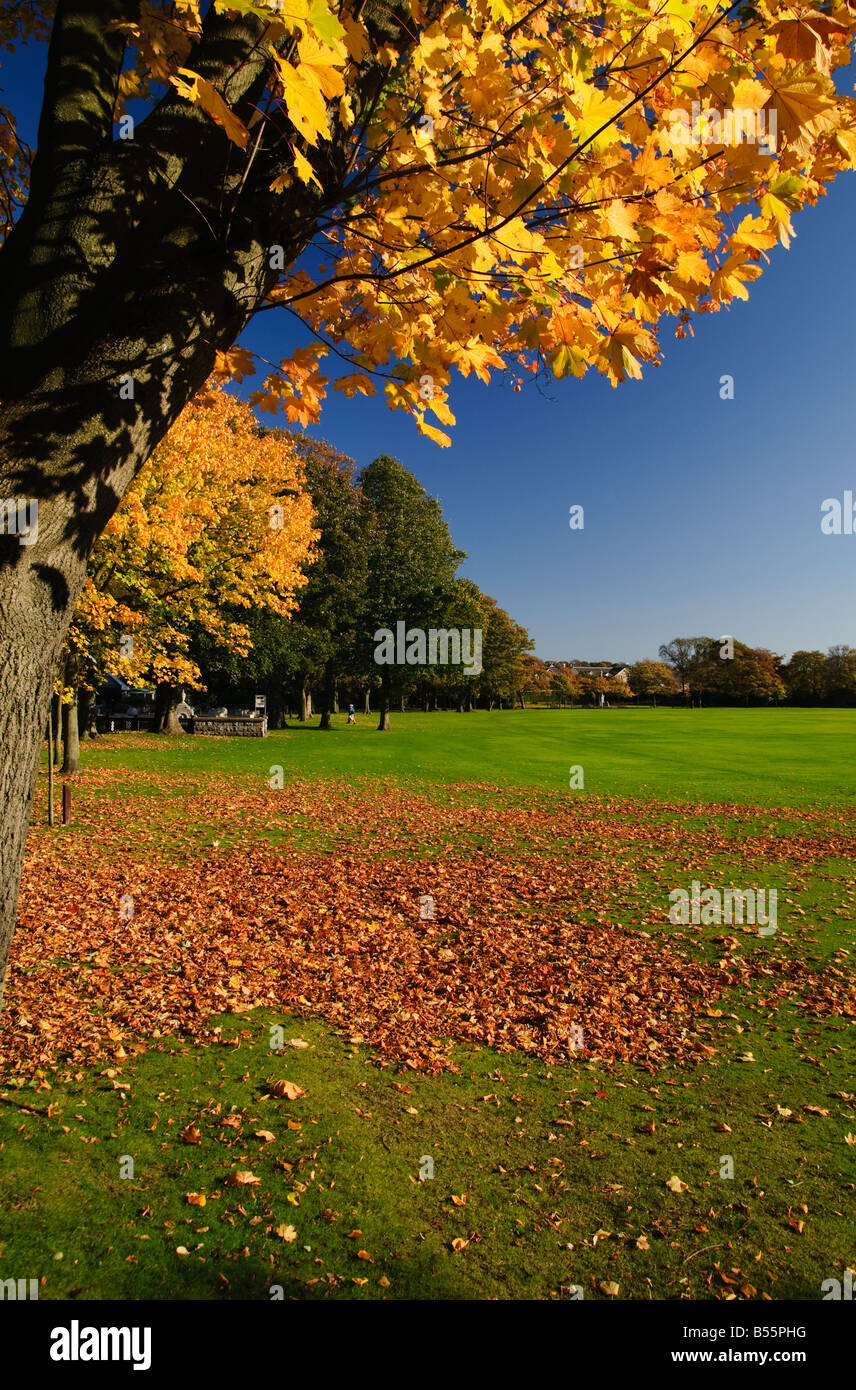 Duthie Park in Aberdeen, Schottland. Während Oktober aufgenommen, wenn die Herbst Farbe die umliegende Stadt leuchtet Stockfoto