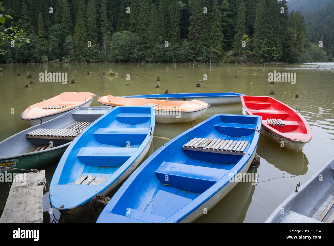 Bunten Ruderboote zu mieten, die durch eine Mole auf "Red Lake" in Cheile Bicazului Hasmas "Nationalpark" Moldawien Rumänien festgemacht Stockfoto