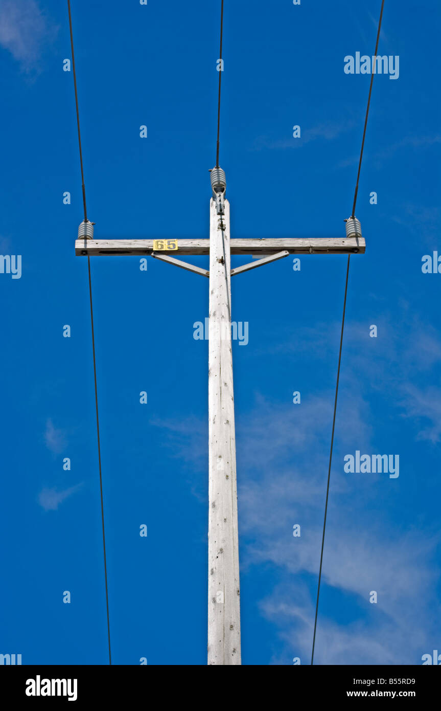 Einzelne Telefonmast tragen drei Drähte vor blauem Himmel Stockfoto